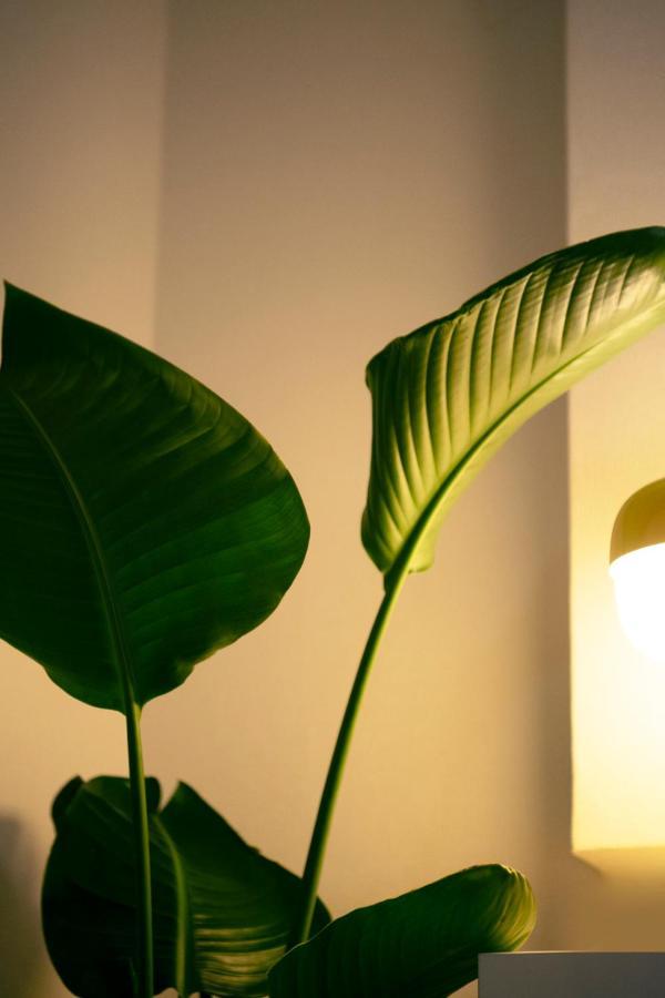 #9 3Mins To Station 1Stop To Shinjuku Stylish Apartment With Plenty Of Sunlight Tokyo Esterno foto